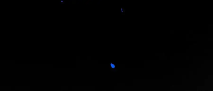 98.善与恶85