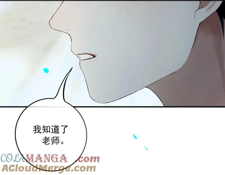 愈合的伤疤8