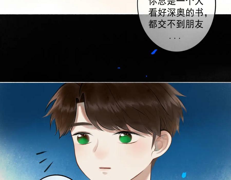 81.星星花8