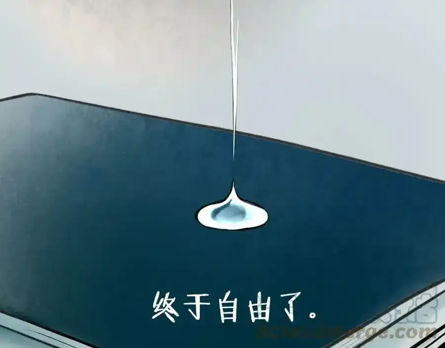 76.夜行之鸟68