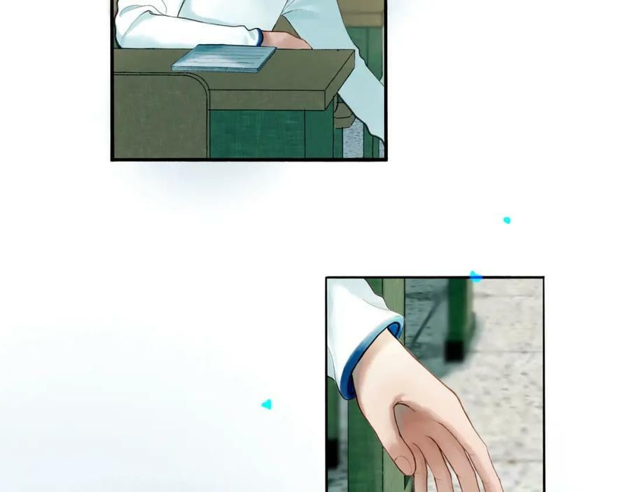 81.星星花62