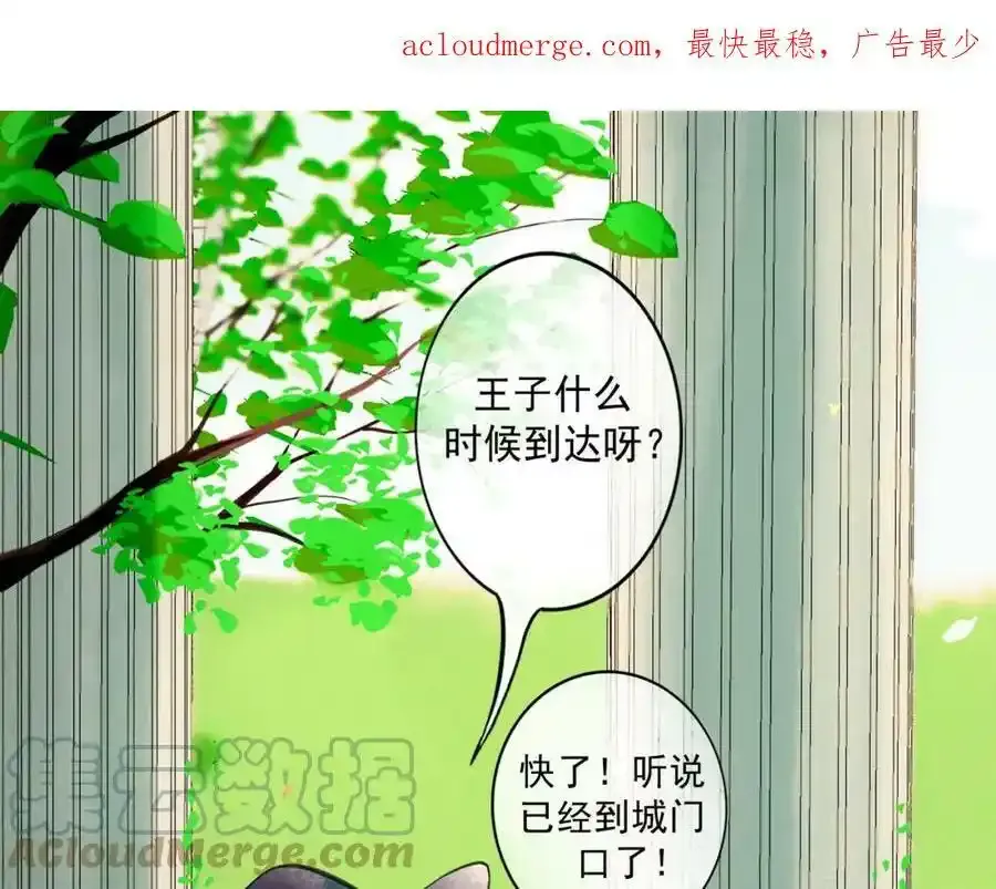 76.夜行之鸟0