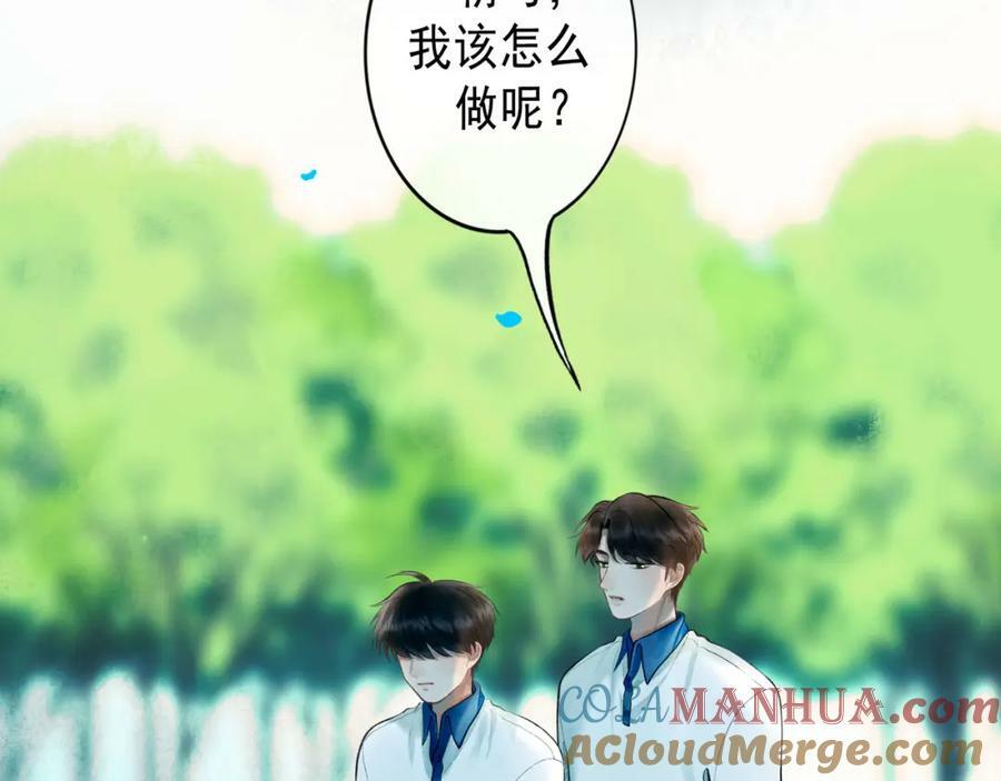 81.星星花21
