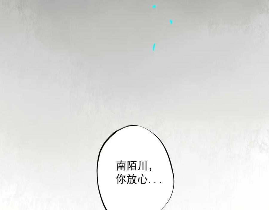 81.星星花35