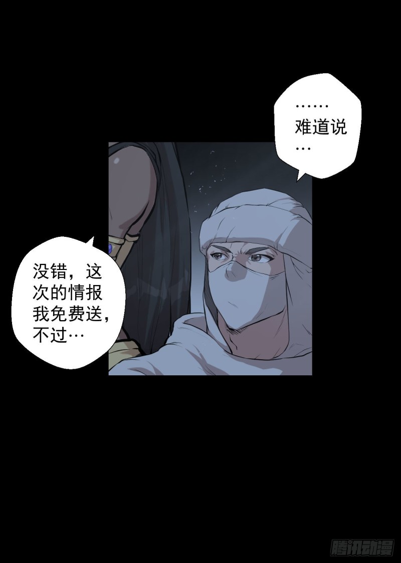 阿萨辛的行动45