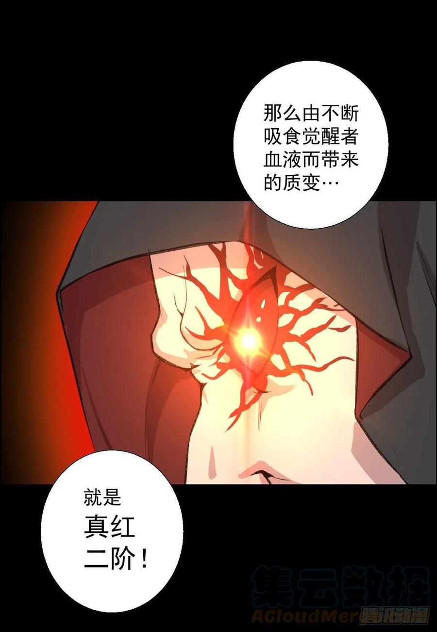 真红二阶9