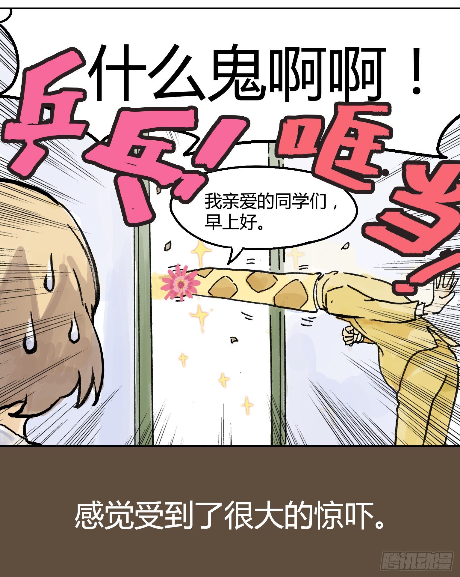 王子初报道！9
