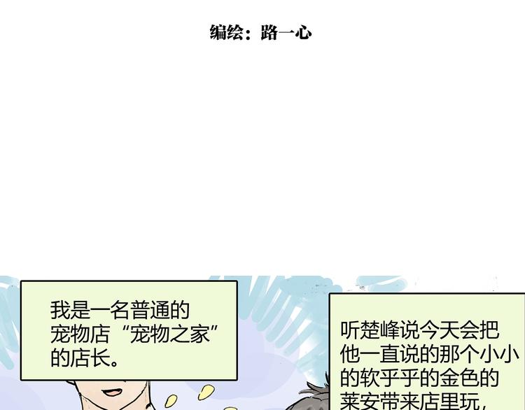 孤傲的狂犬与狗3