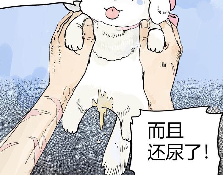 黄狗狗，白狗狗和魔王59