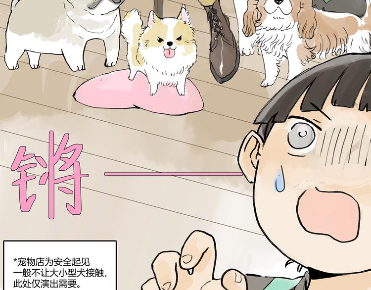 孤傲的狂犬与狗49