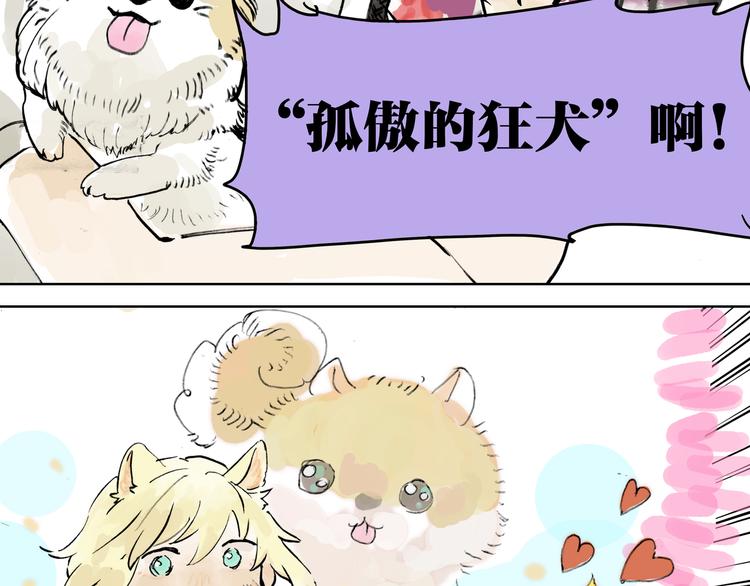 孤傲的狂犬与狗61