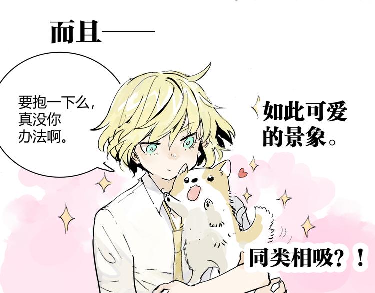 孤傲的狂犬与狗57