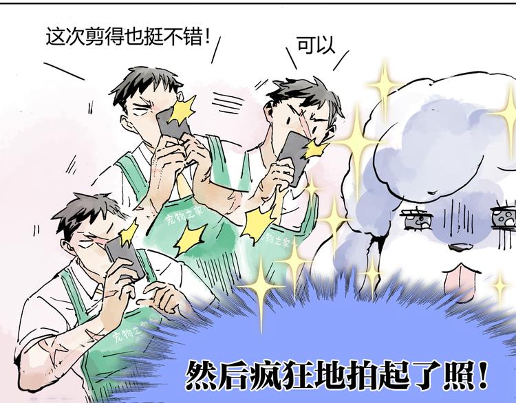 黄狗狗，白狗狗和魔王16