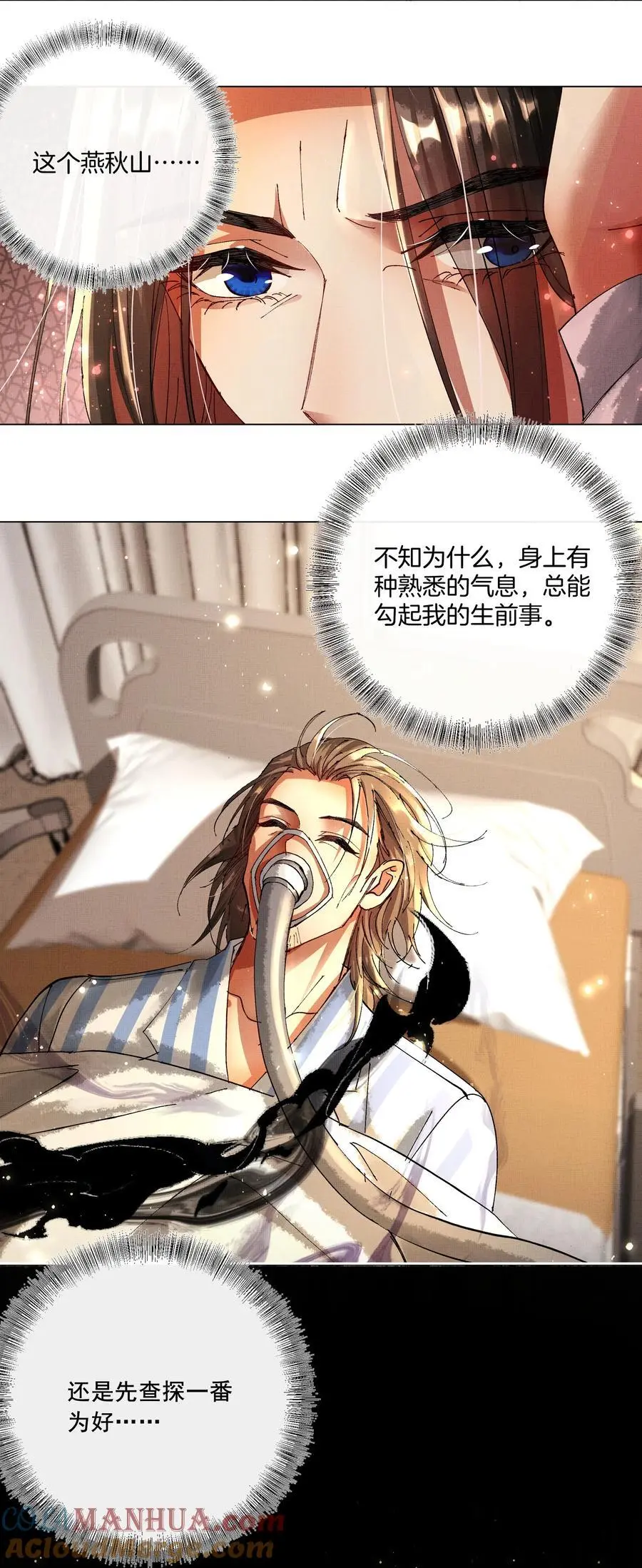 084 朽木16
