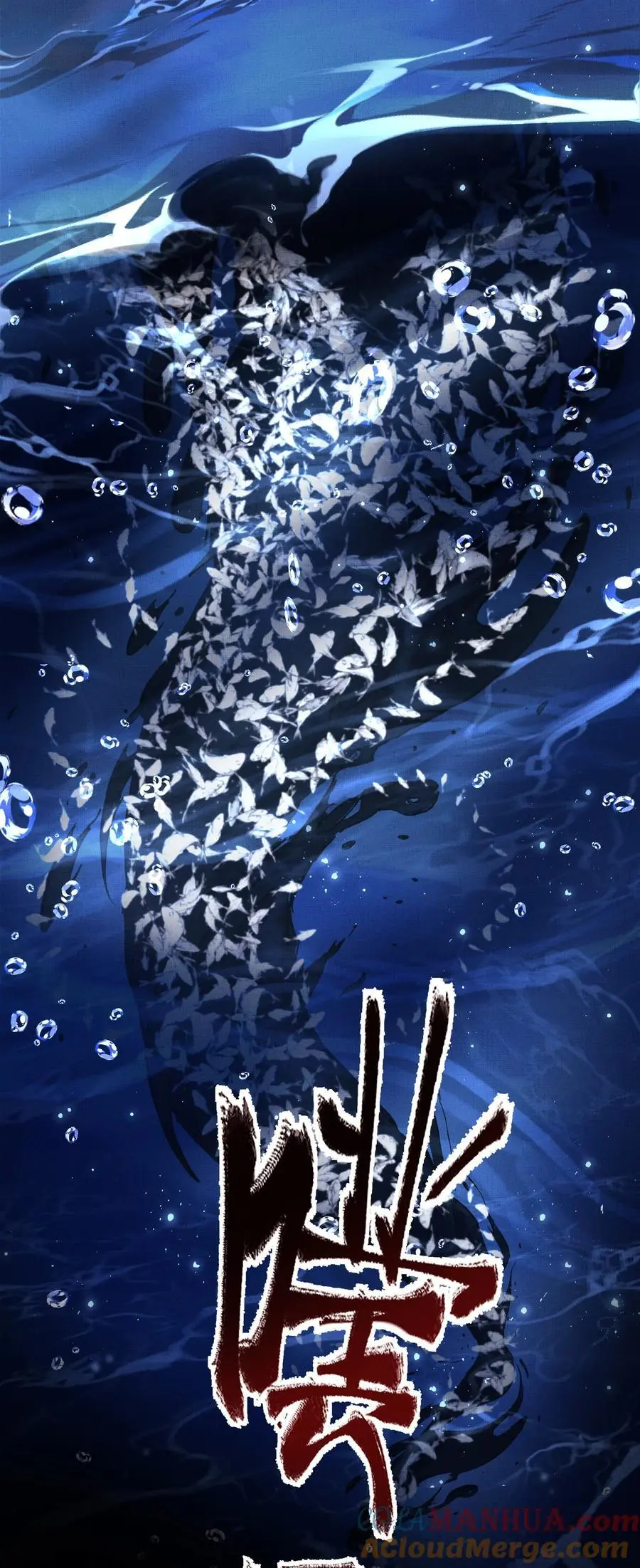 084 朽木36