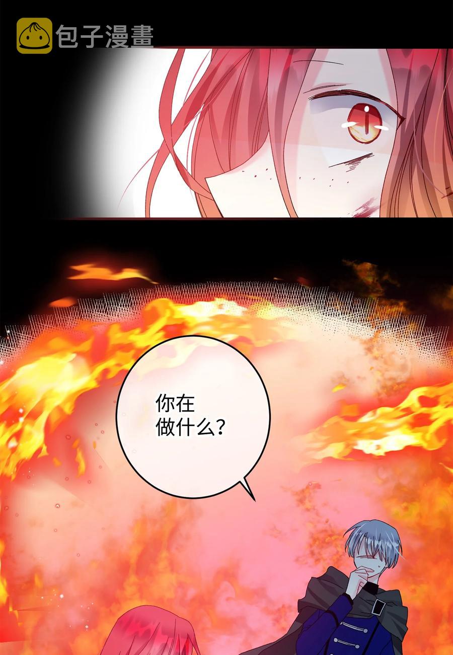 72 鸠占鹊巢38