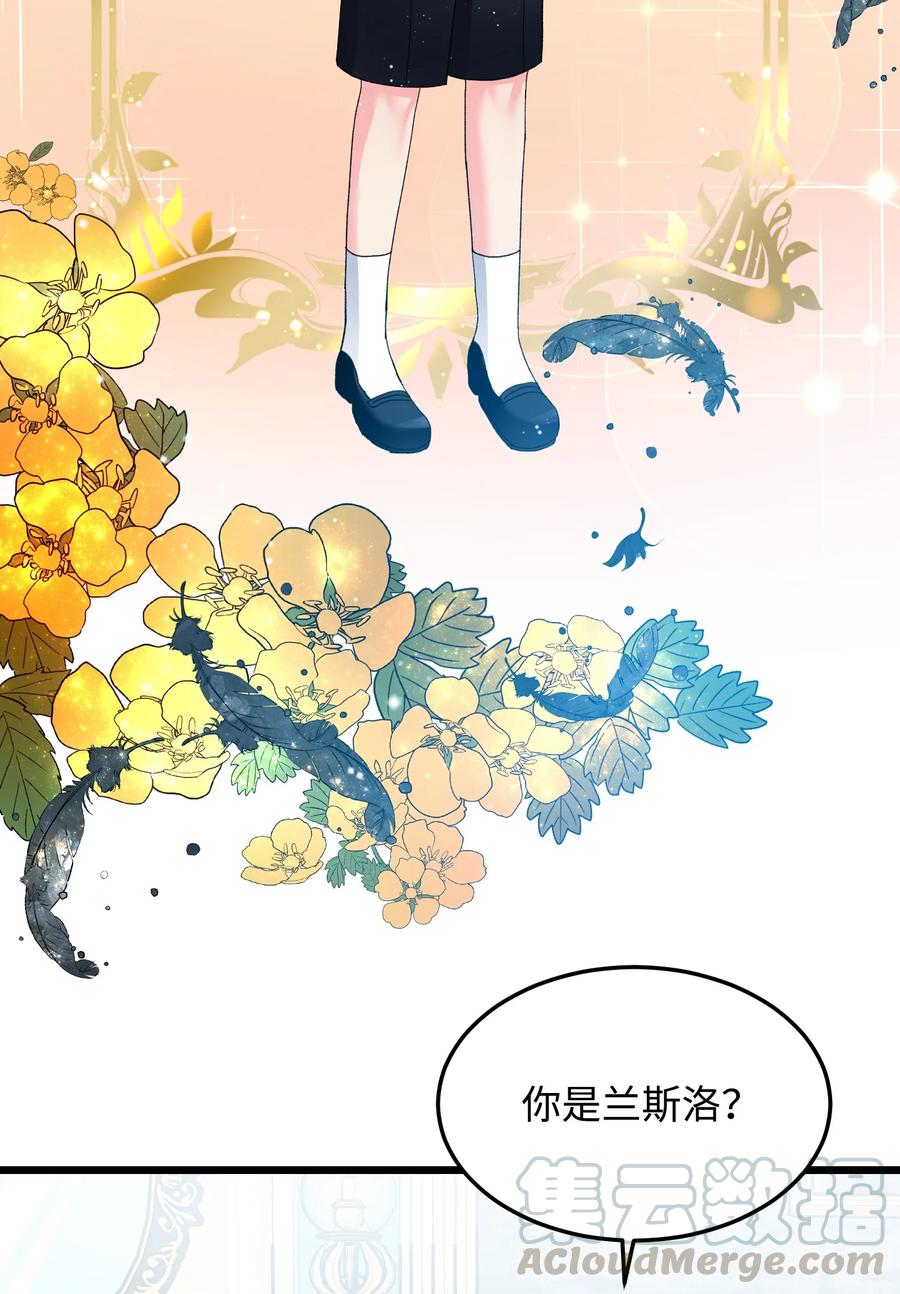 52 小只兰斯洛24