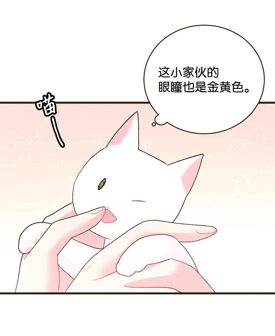 17 有话要说19