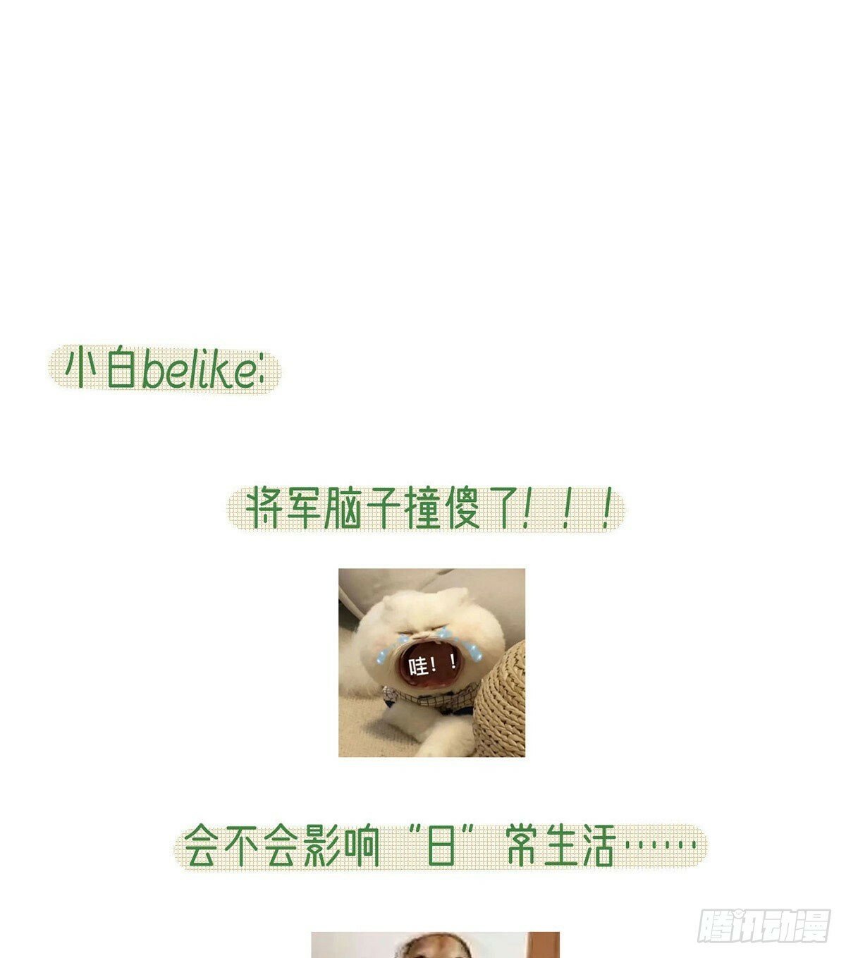 为什么不理我！82