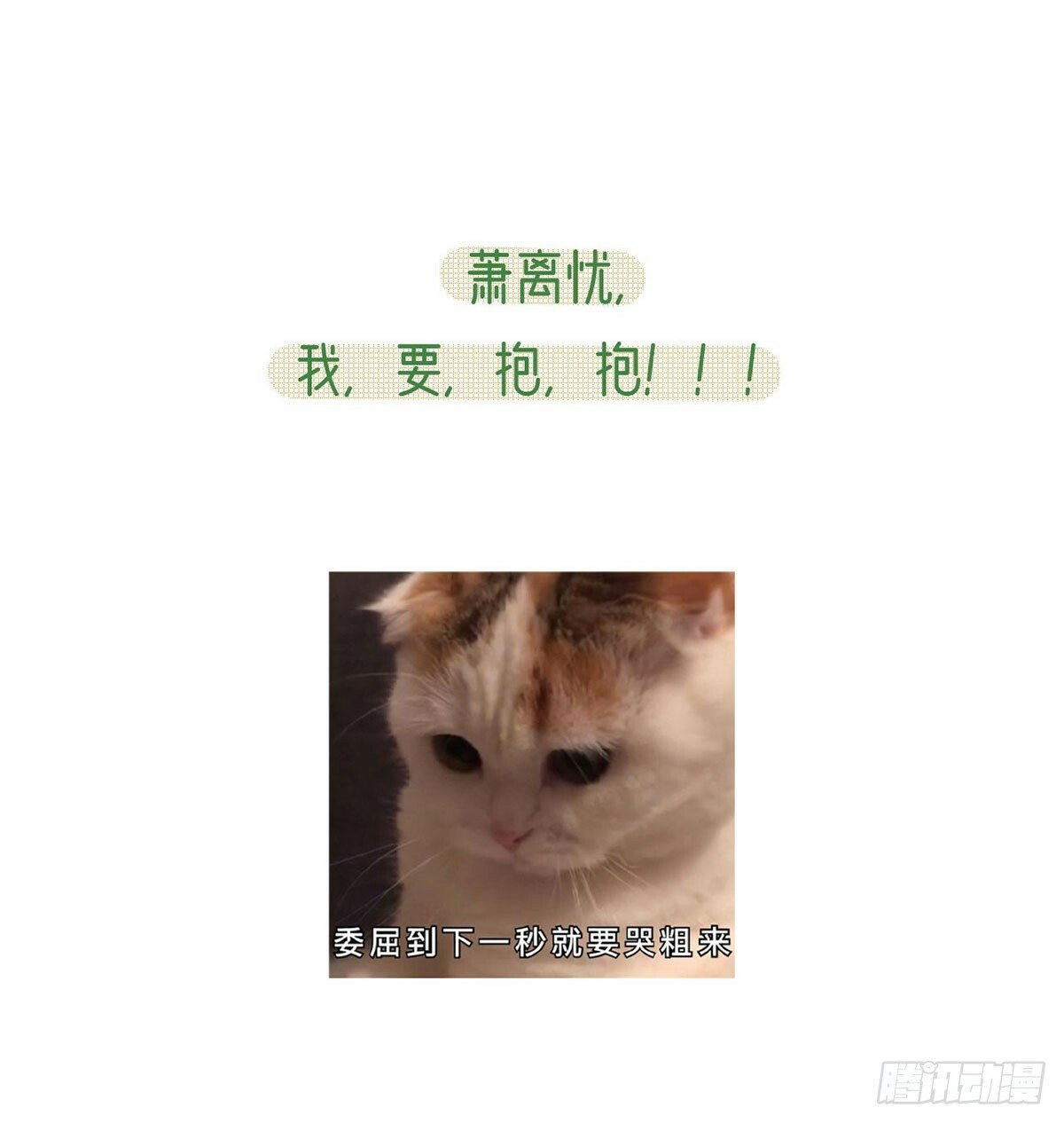 将军回来了76