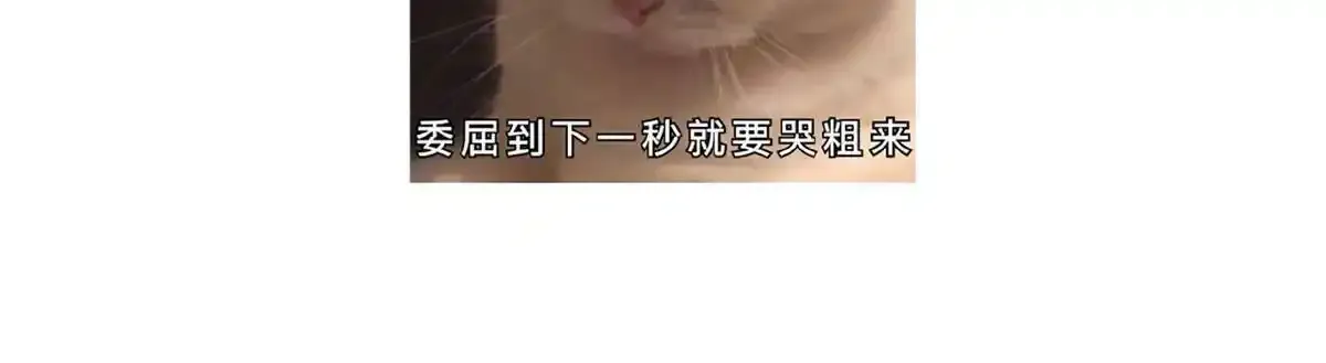 第89话 将军回来了151
