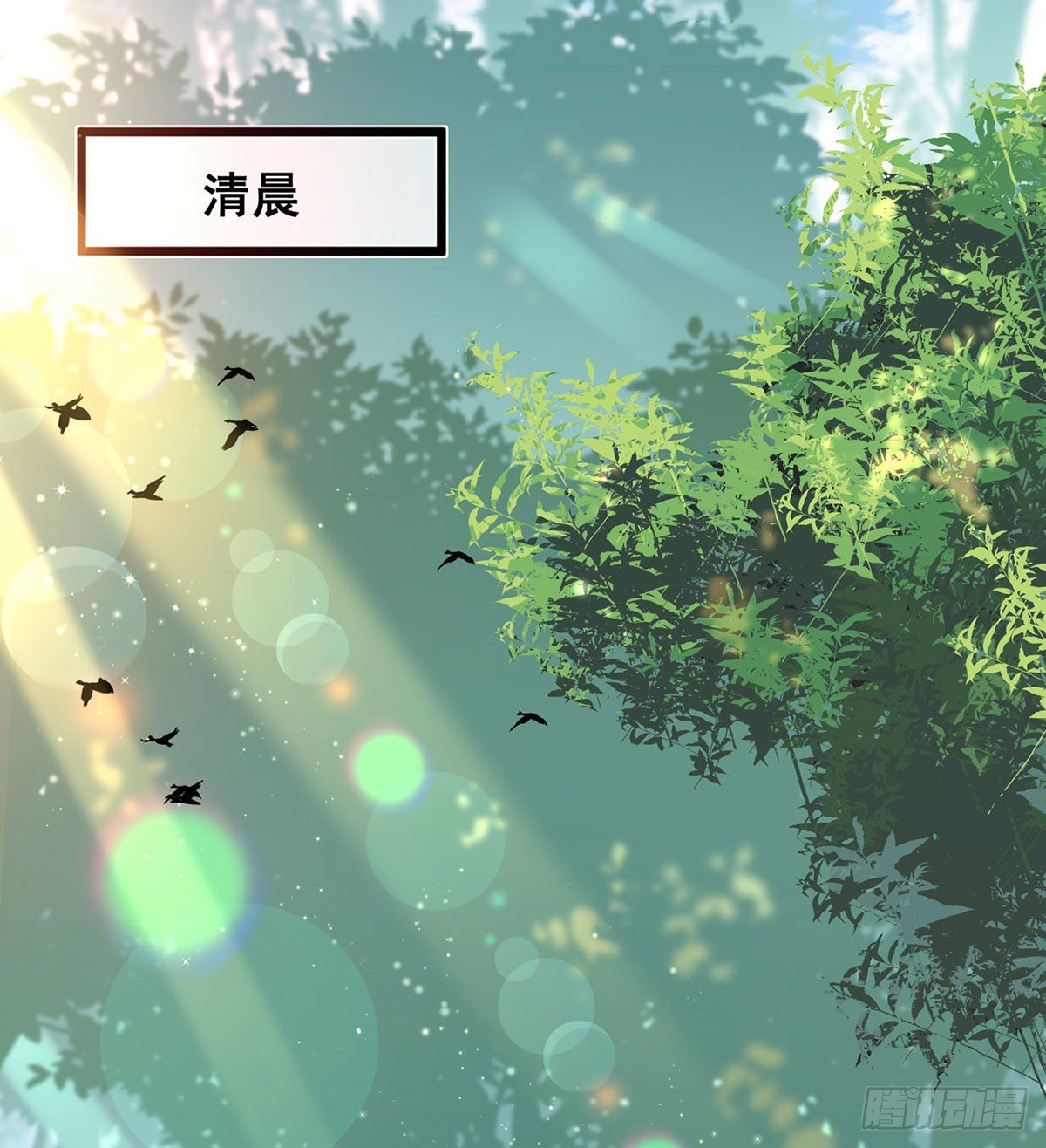 贴身照顾7