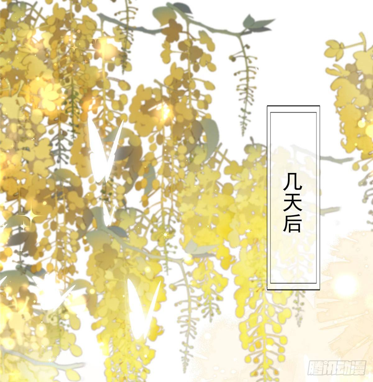 情意绵绵剑8