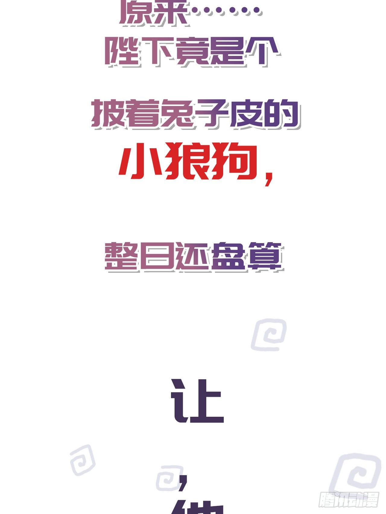 放料1 预告28