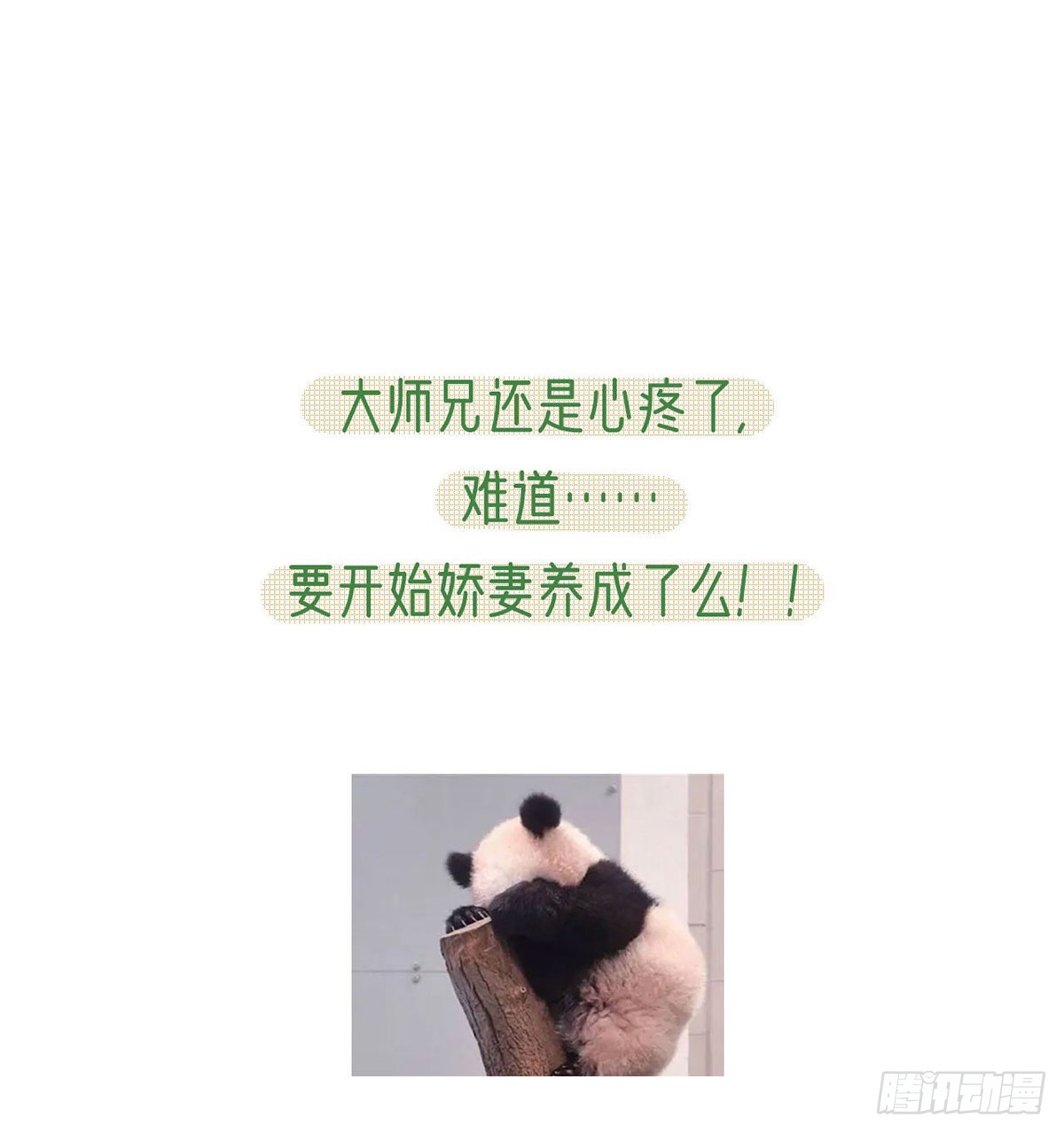 75 求你，别走！79