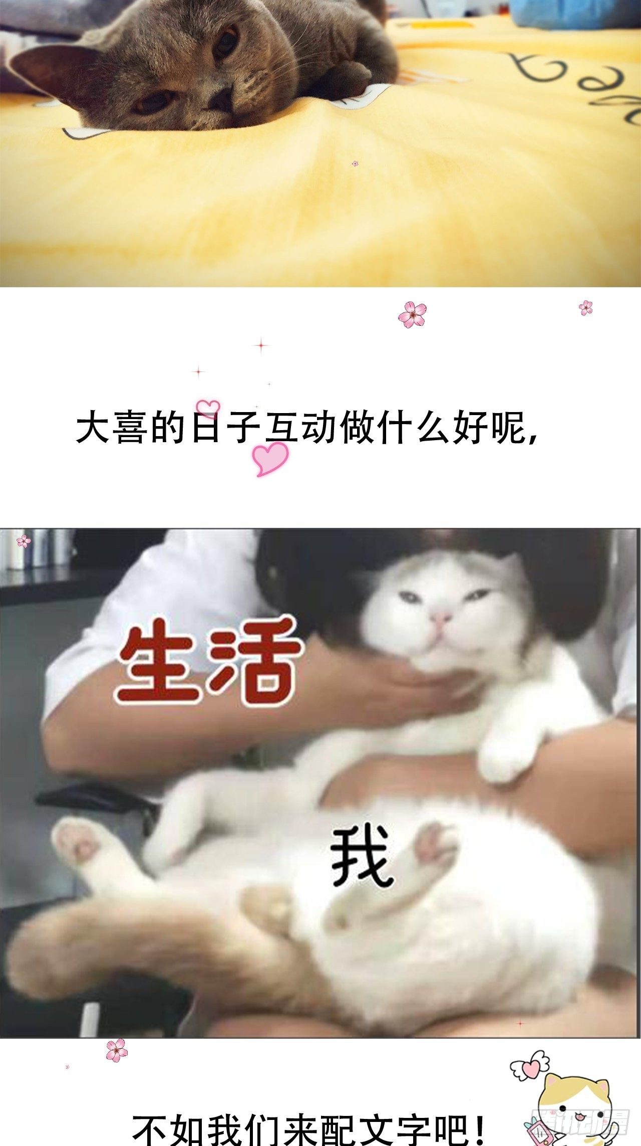 05 女装43