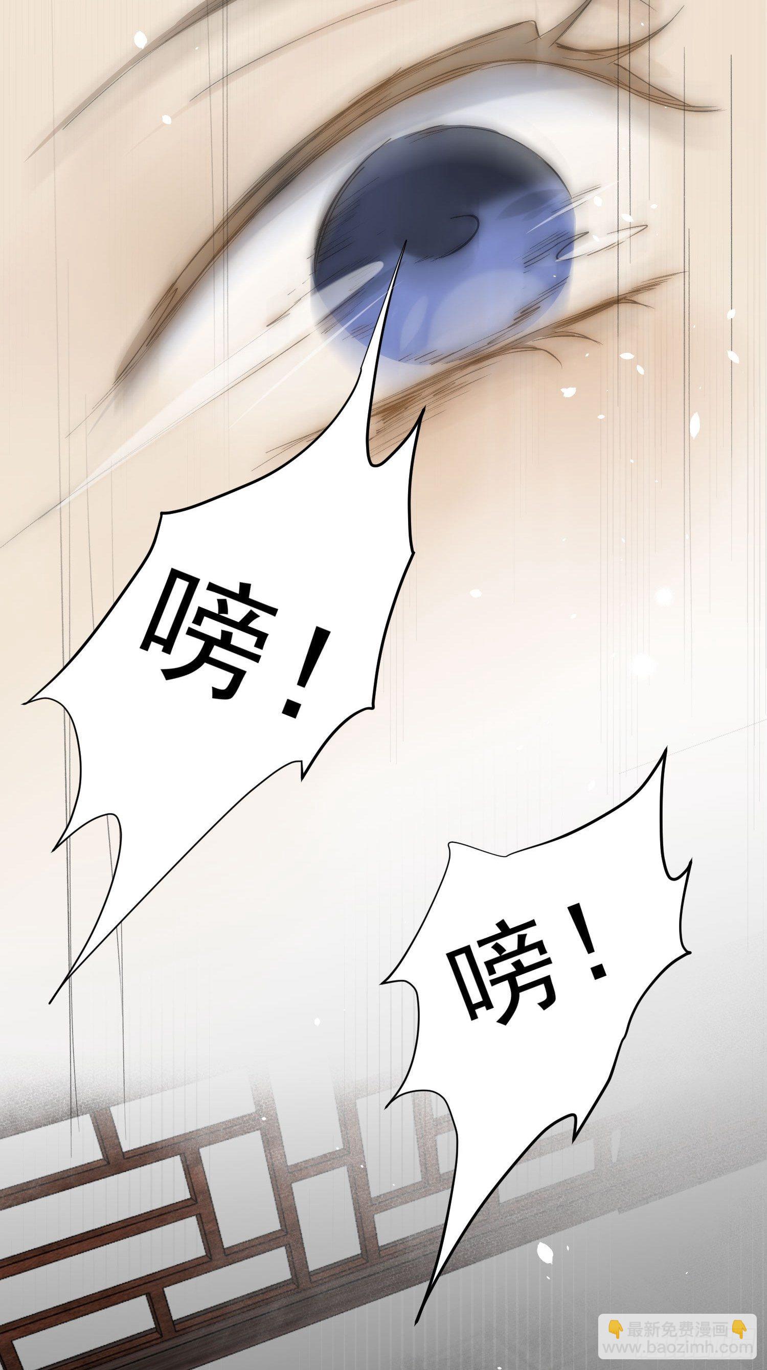 23 分析41