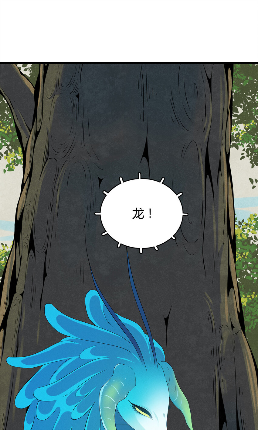 13 体内的强大封印13