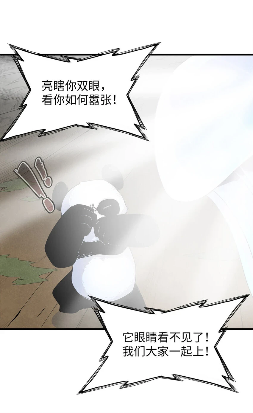 69 新兄弟，日光水母29