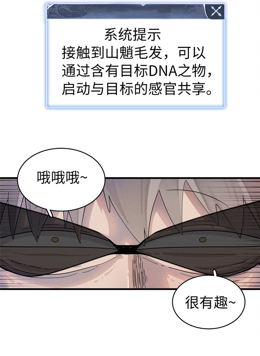 65 仙蒂20