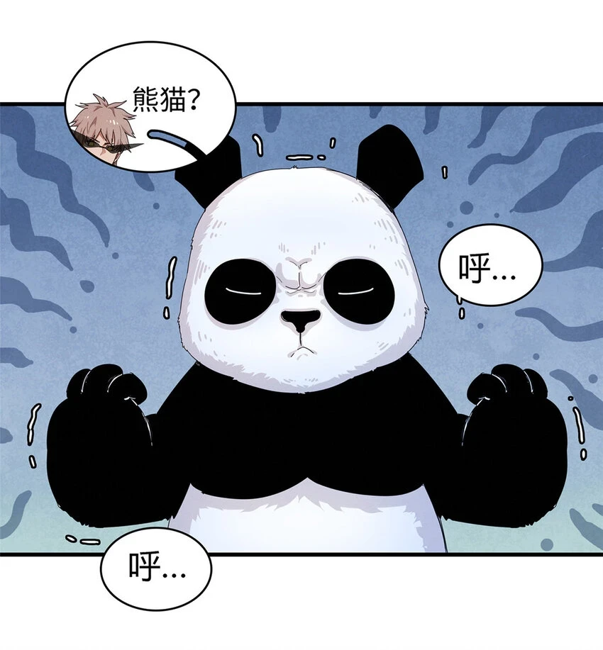 69 新兄弟，日光水母23