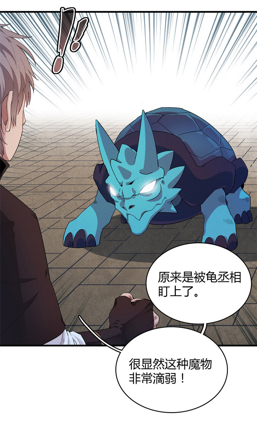 18 没有弱点的琼尼龟30