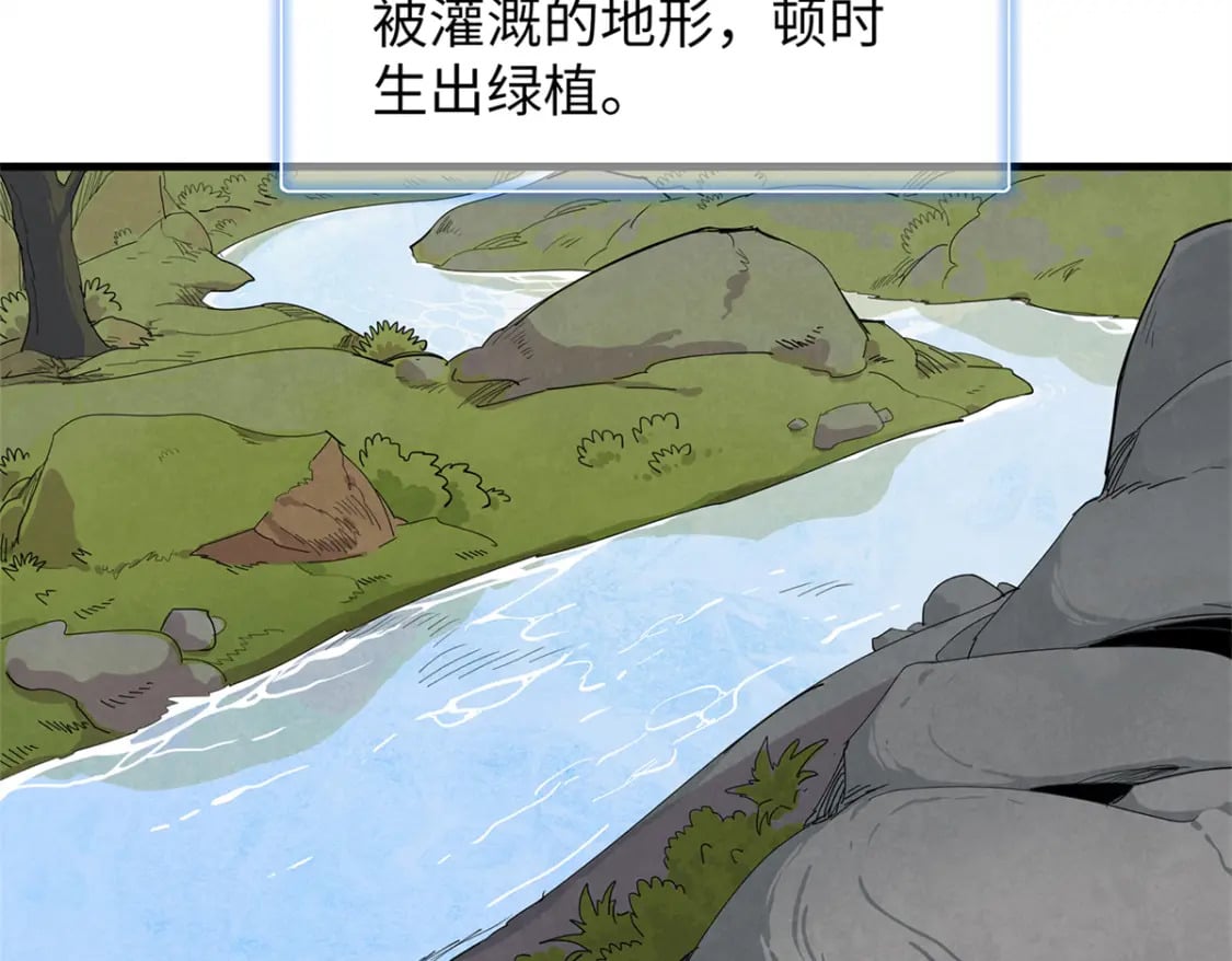 80 欢迎来到奎南星12