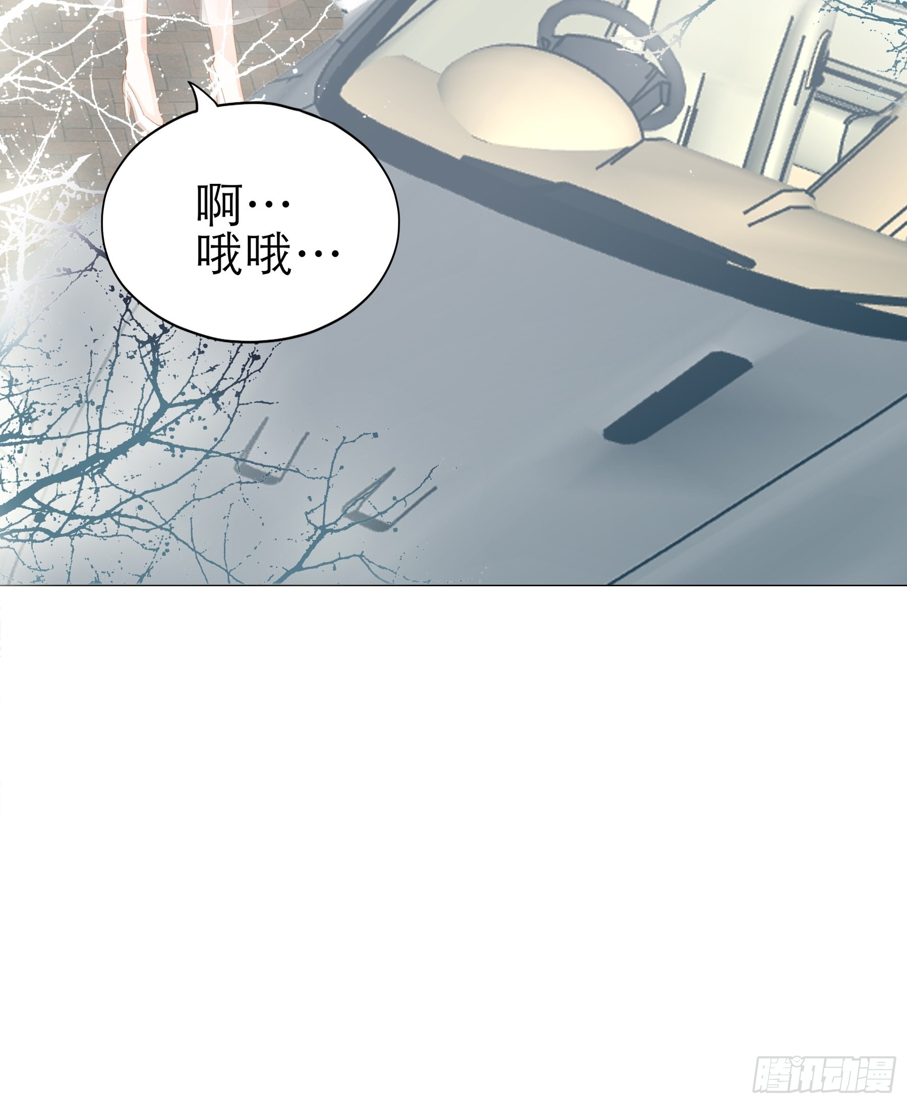 主动的九爷40