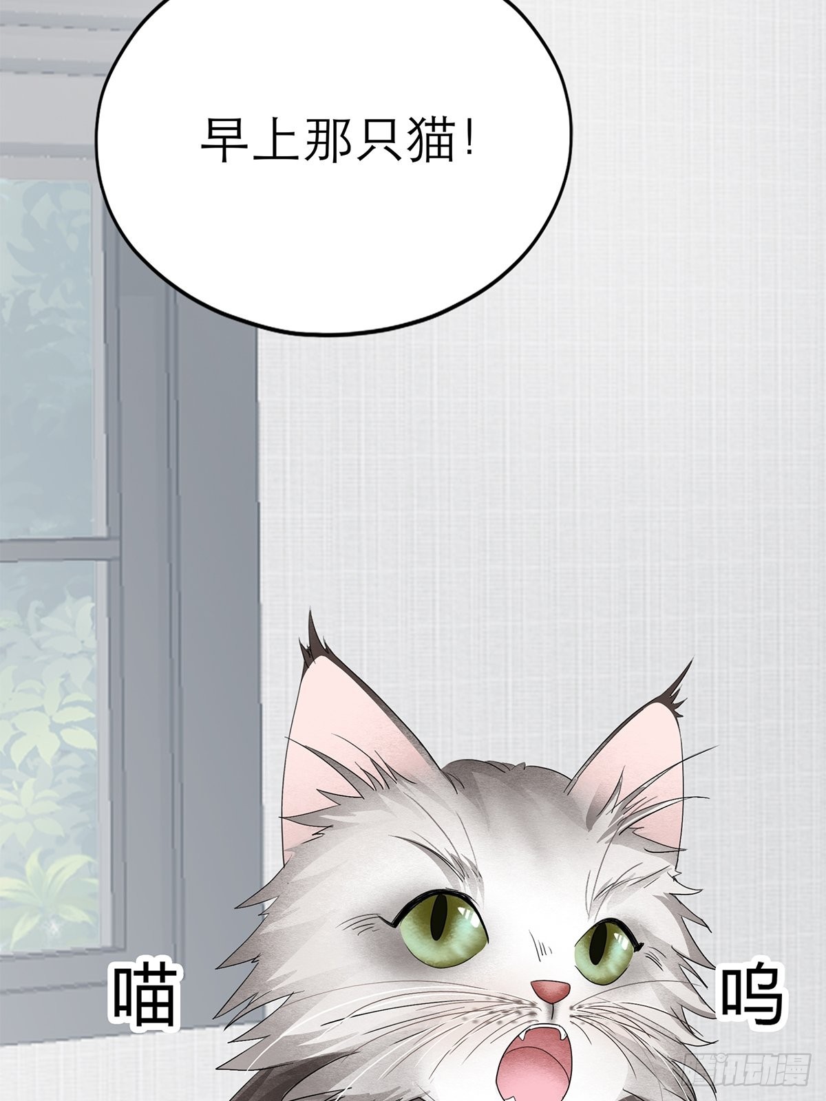 投喂失败21