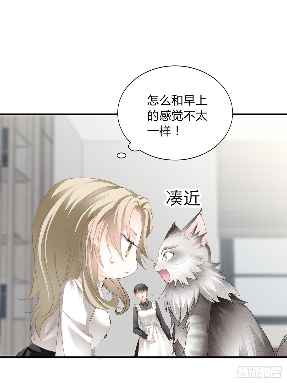 投喂失败23