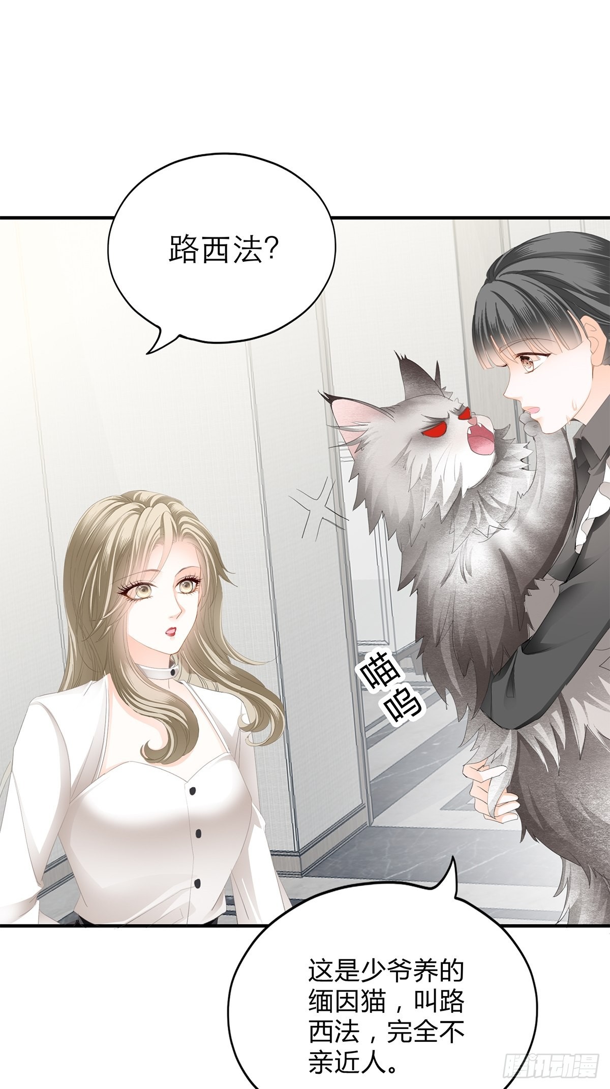 投喂失败26