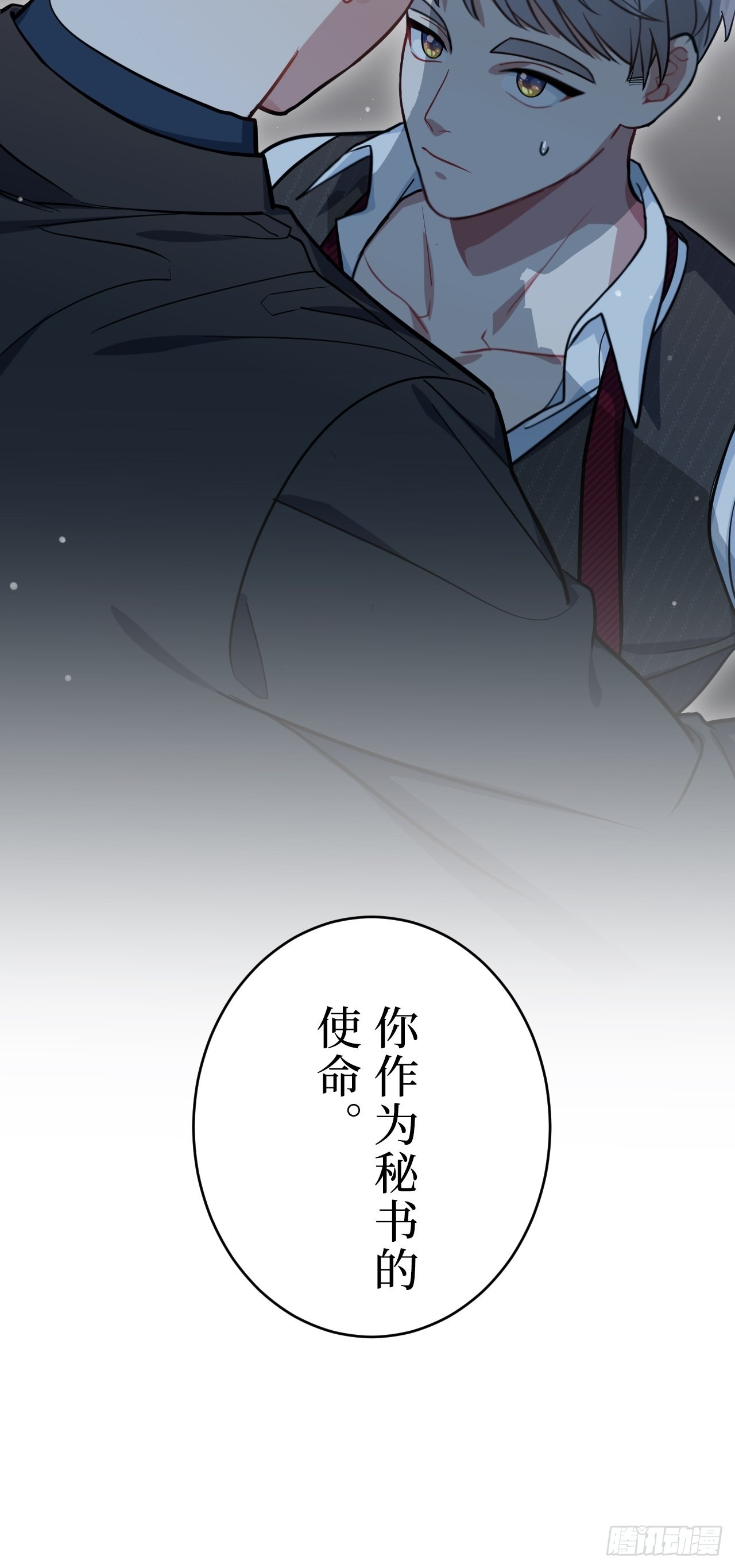 1.肖秘书的使命11