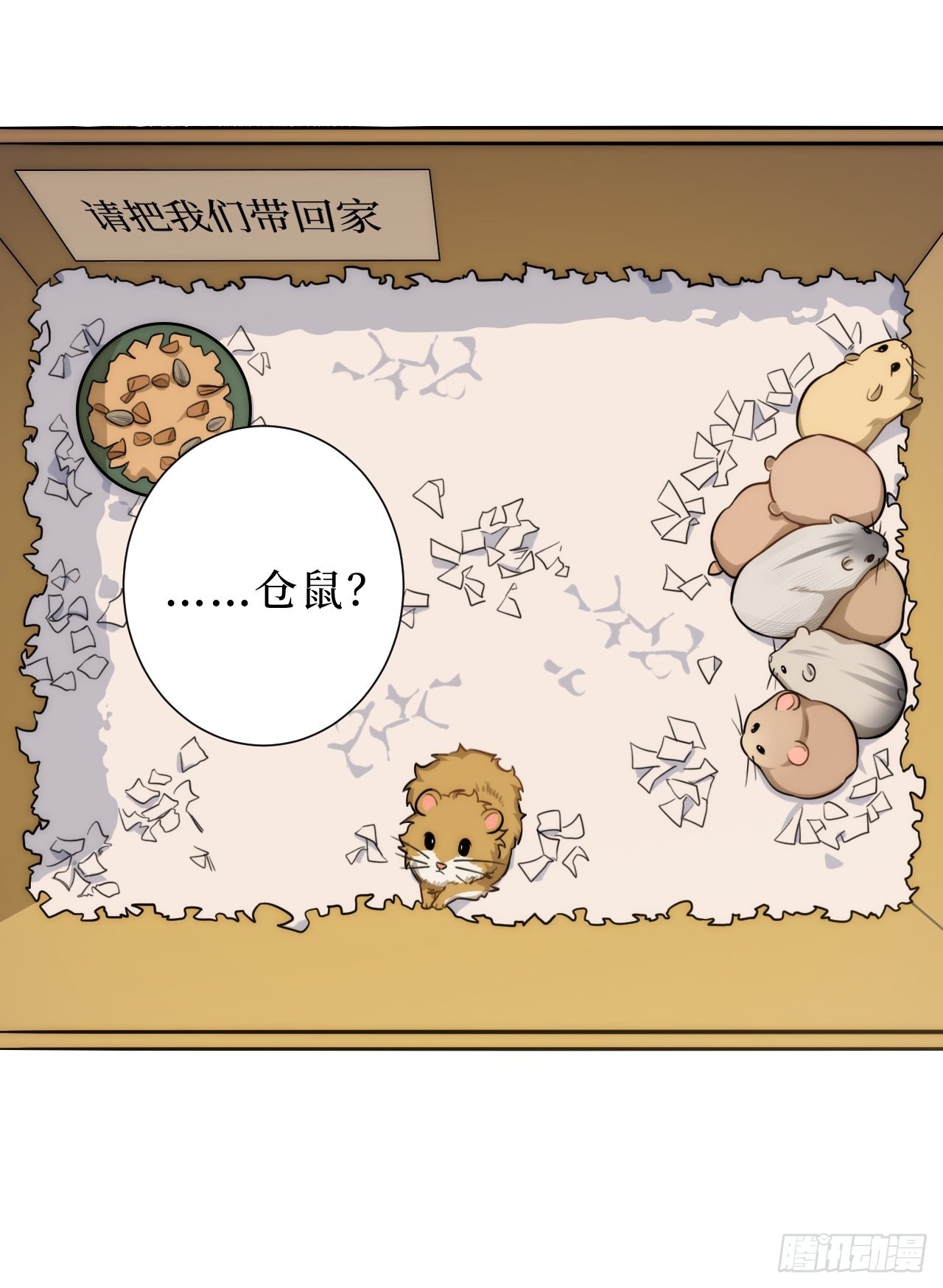 2.我叫肖秘书，是一只仓鼠16
