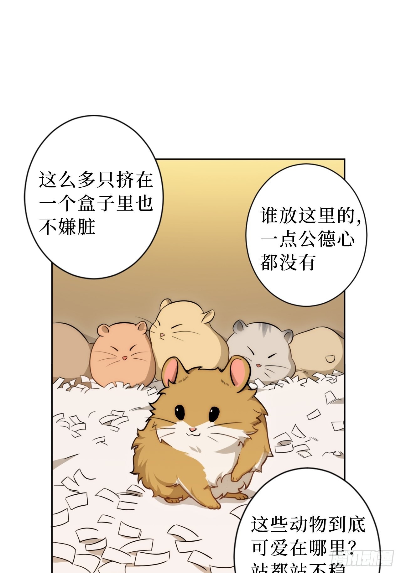2.我叫肖秘书，是一只仓鼠17