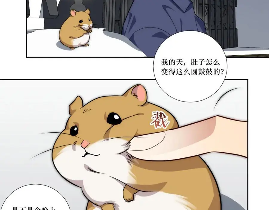 80-一起回家？66