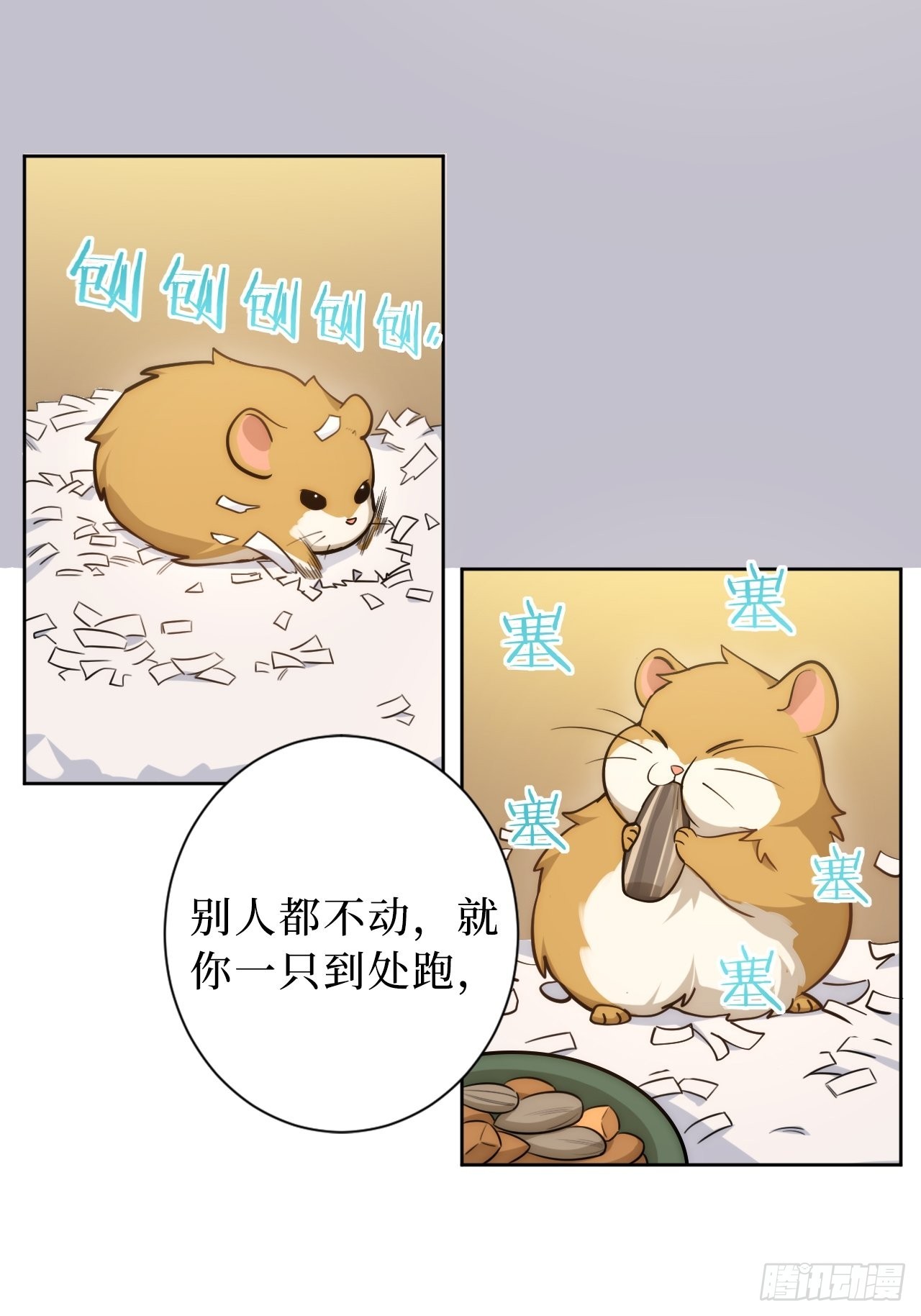 2.我叫肖秘书，是一只仓鼠20