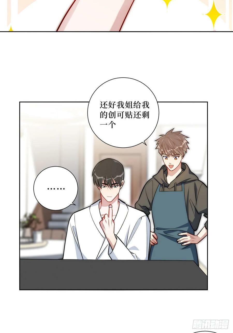 47.新手做饭指南27