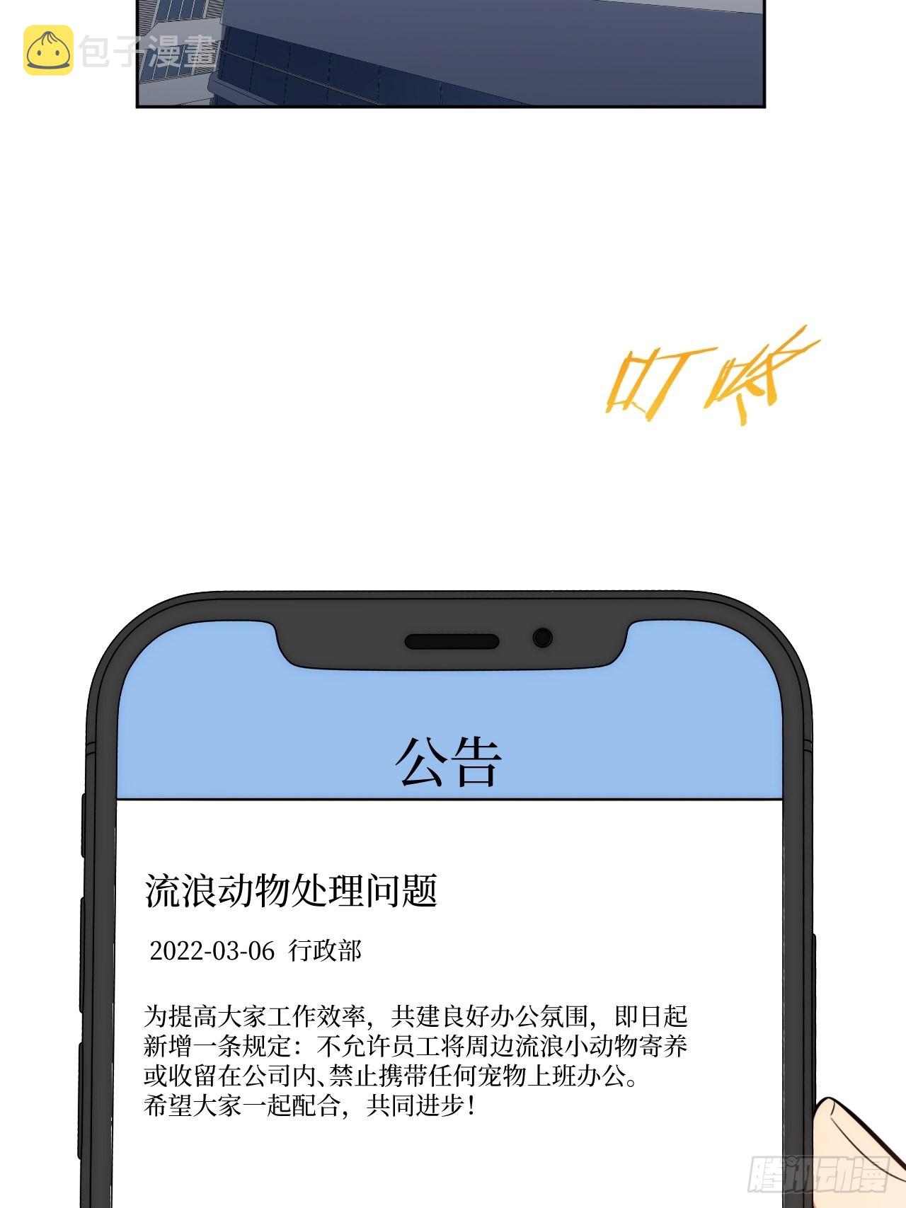 2.我叫肖秘书，是一只仓鼠1