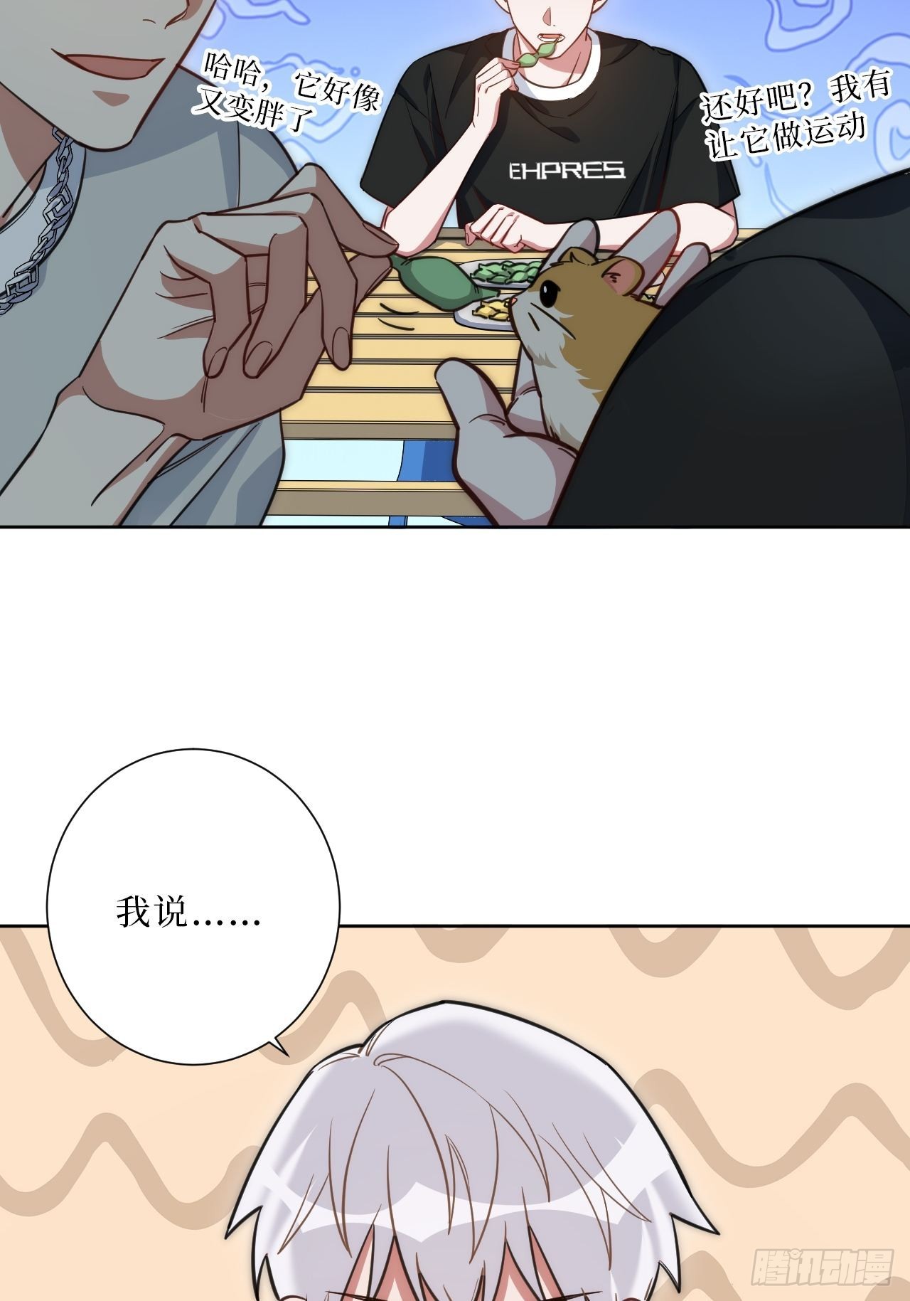 24.错觉？26