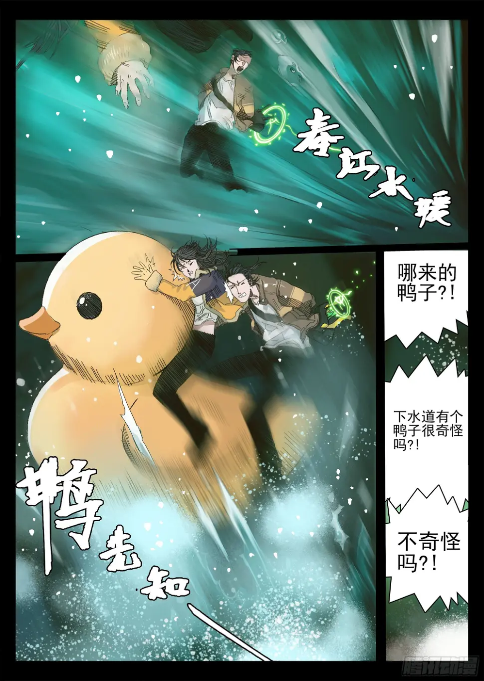 下水道有鸭子很奇怪吗20